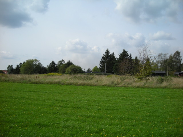 DSCN1279