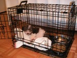 Viggo's new cage