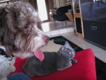 Mmmmmm!  Kitty!