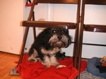 This is my new bed ?!?!  Where's my mommy?